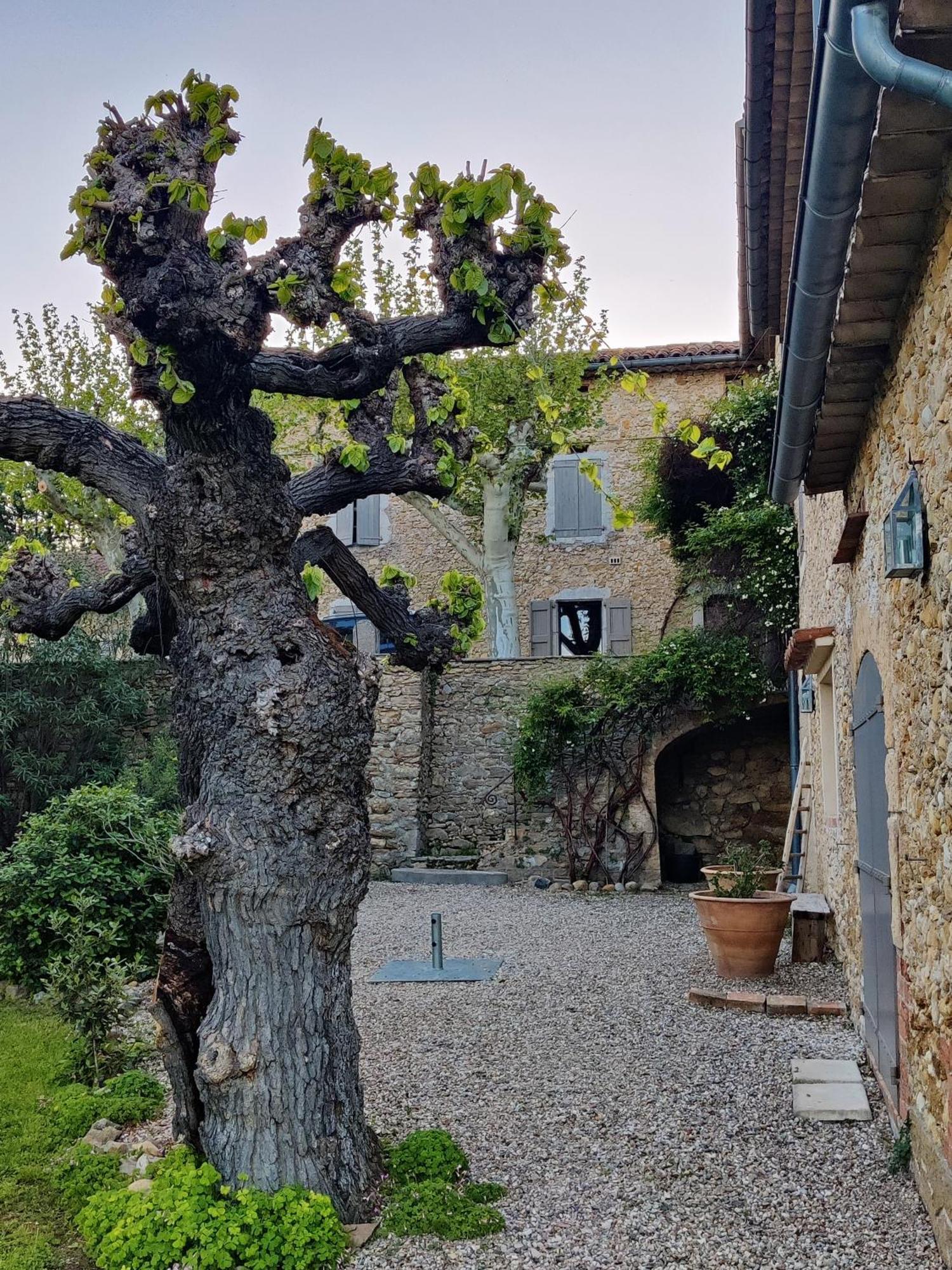 L'Etoffe, Charmante Chambre Dans Un Mas Cevenol Boisset-et-Gaujac エクステリア 写真